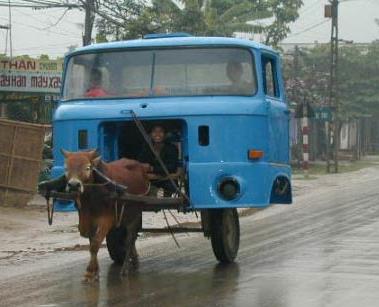 voiture a une vache