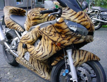 une vraie moto tigre