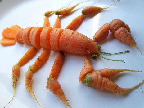 Langouste en carottes