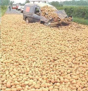 100 patates !