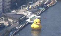 Un canard en plastique géant sur la mer