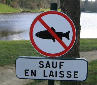 Sauf en laisse