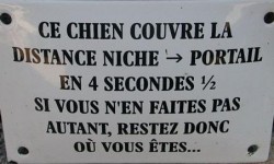 Comment s'améliorer à la course à pied ?