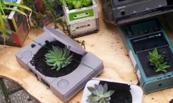 Comment recycler ses consoles en pots de fleurs ?