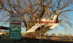 un avion planter dans un arbre