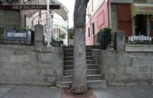 un arbre planté devant un escalier